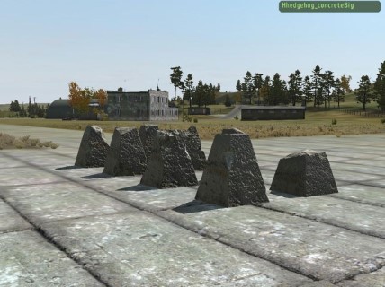 Hhedgehog_concreteBig