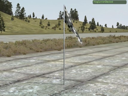 FlagCarrierChecked