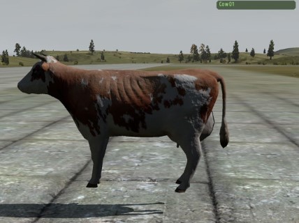 Cow01