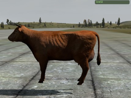 Cow02