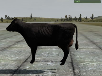Cow03