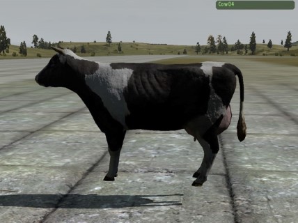 Cow04
