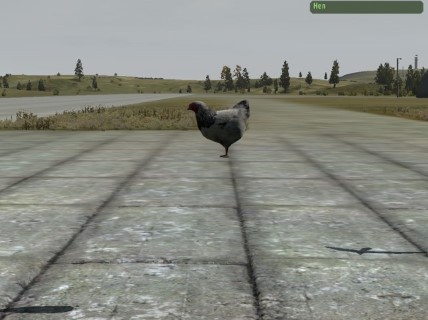 Hen
