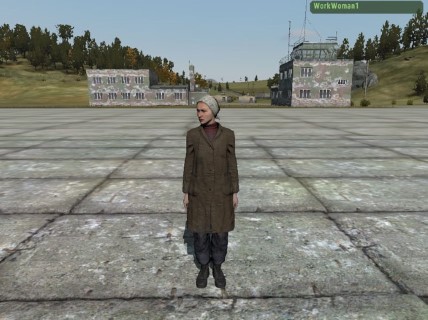 WorkWoman1