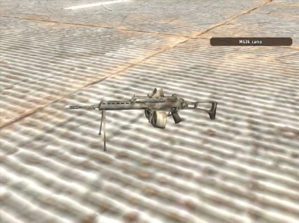 MG36_camo