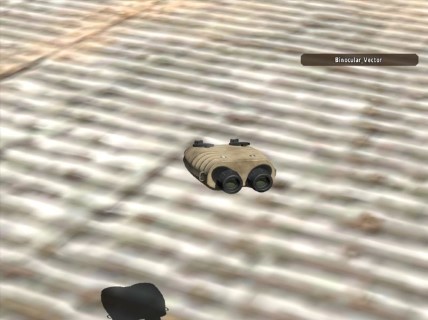 Binocular_Vector