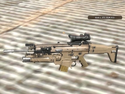 SCAR_L_STD_EGLM_RCO