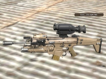 SCAR_L_STD_EGLM_TWS