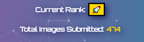 Image Count & Rank Badge