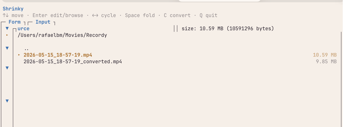 Shrinky TUI showing auto-size result: 10.59 MB source converted to 9.85 MB