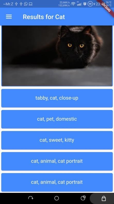 Cats Image search using Pixabay 2