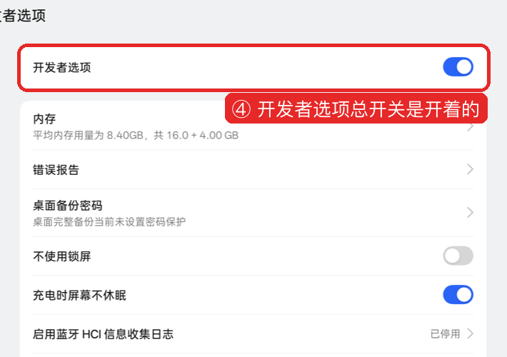 开发者选项总开关