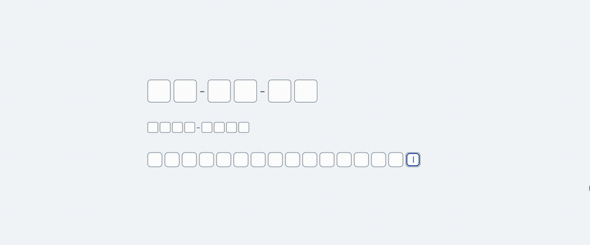 Animated preview of the UI5X SegmentedInput control