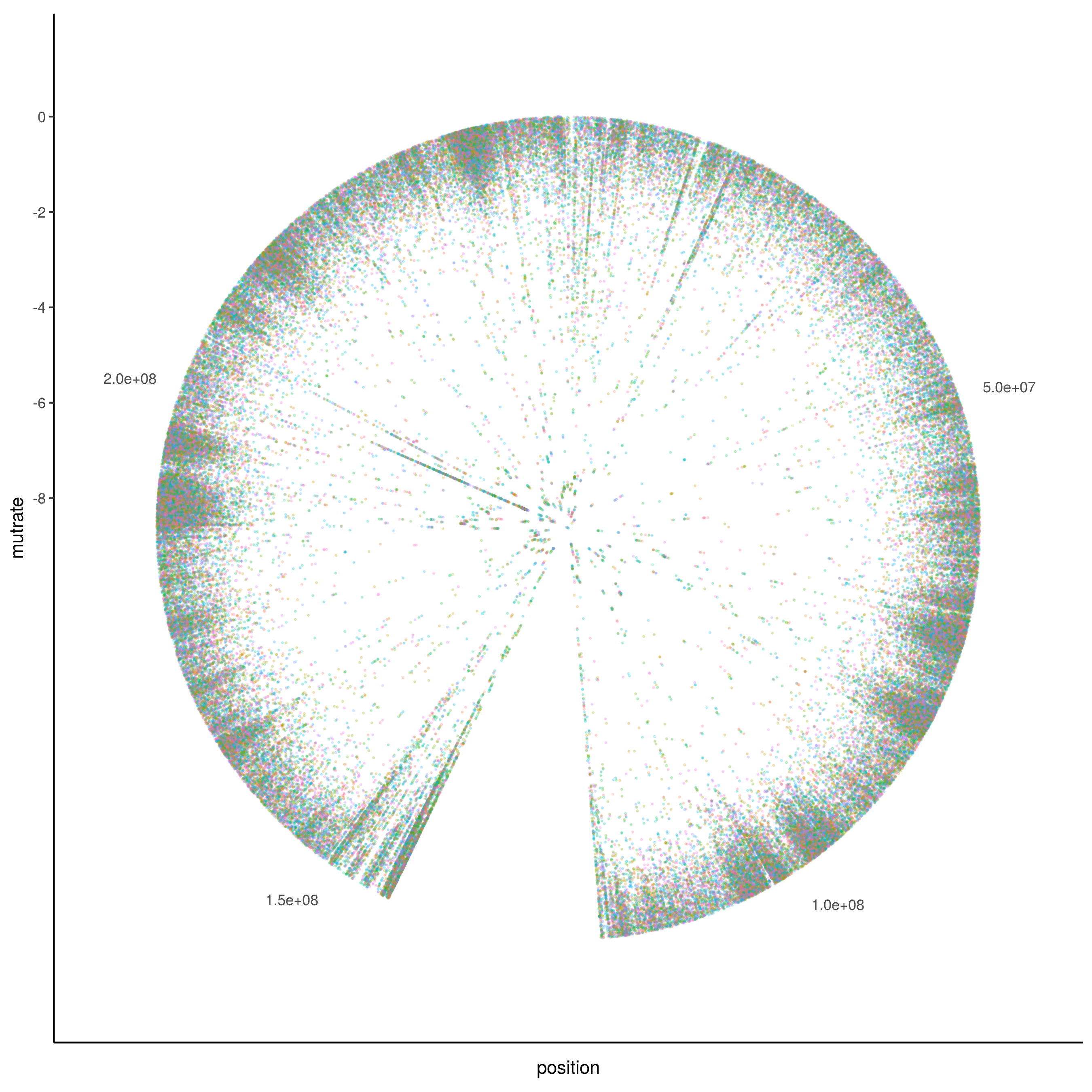 Circular rainstorm plot for chromosome 1 (same data as above)