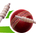 Icono de Cricket Companion