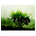 Icono de Day Of Ubuntu