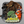 Icono de Jungle Showdown