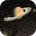 Icono de Solar System 3D Pro