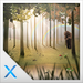Icono de Enchanted forest