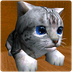 Icono de Cute Pocket Cat 3D