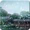 Icono de Raindrop Live Wallpaper