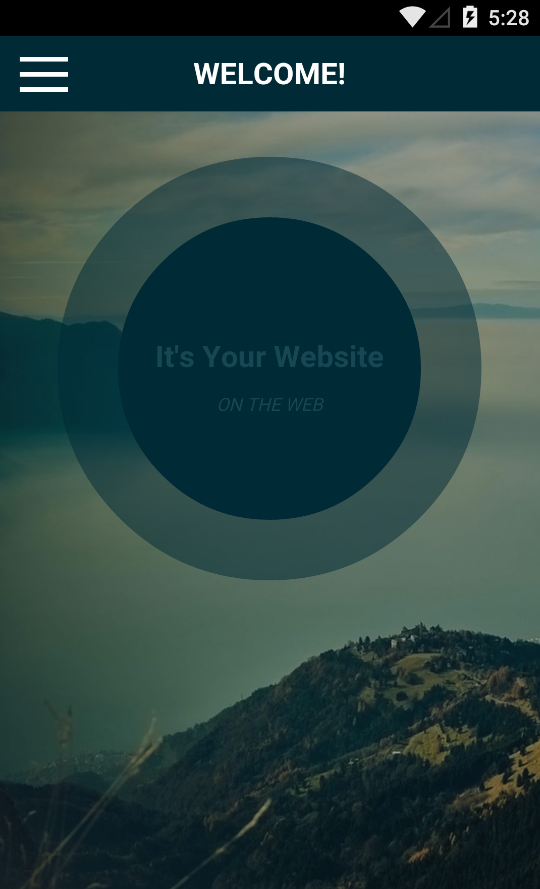 Your Web App or Website in native webview