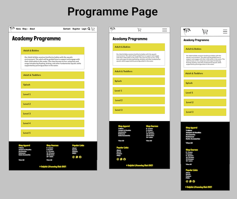 Academy Programme Page Wireframe