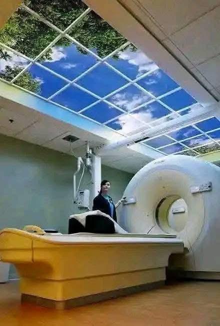 MedBed Technology — Cellular Restoration Chamber