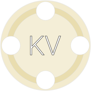 apikv-logo.png