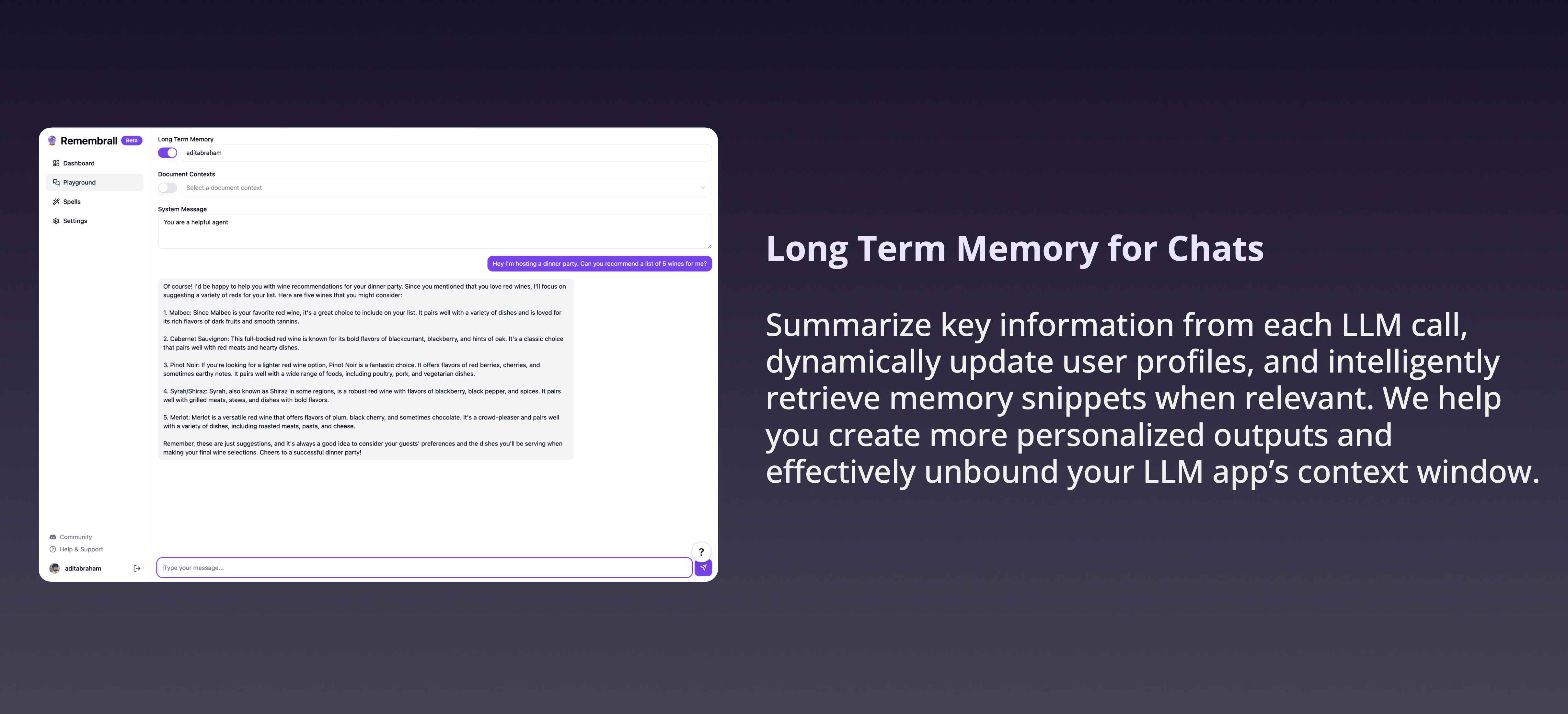 Long Term Memory API