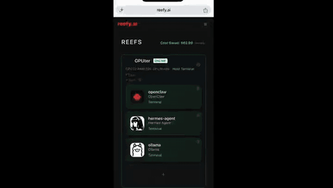 Reefy web terminal on iPhone with on-screen modifier-key buttons
