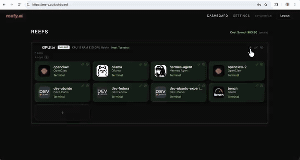 Reefy dashboard showing live system and accelerator monitoring charts