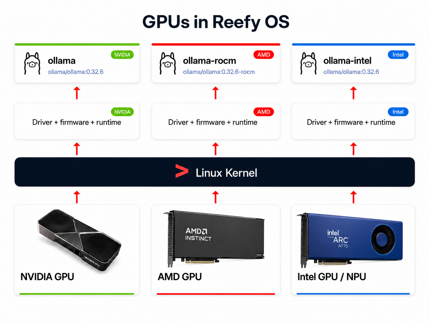 NVIDIA, AMD, and Intel GPU or NPU hardware connected through the Linux kernel and vendor support bundles to accelerator-enabled application images
