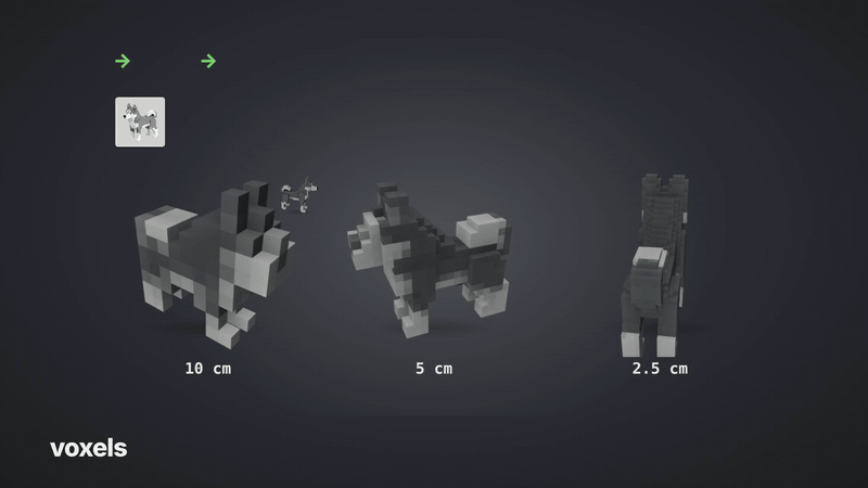 voxels at three scales, then the rig