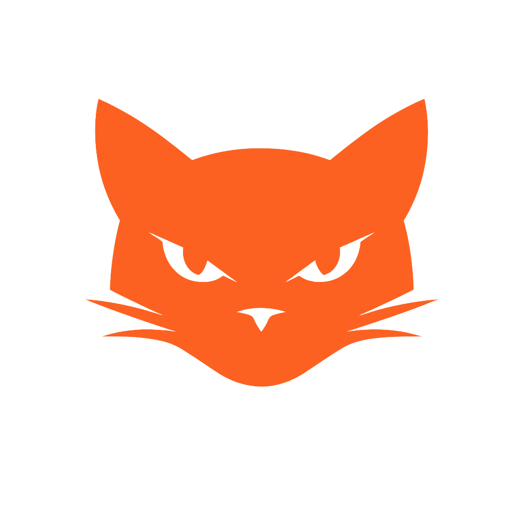 VideoCAT logo