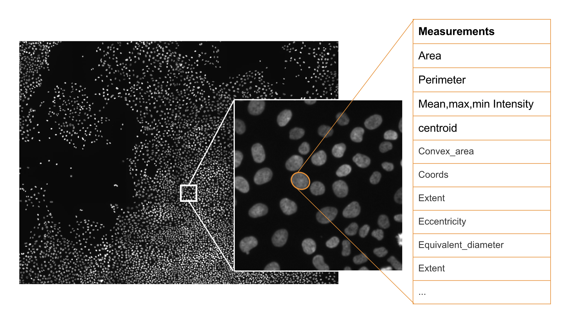 Image Features Extraction — Image Features Extraction 1.0.0 documentation