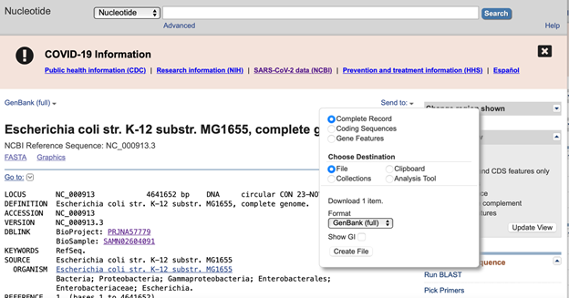 Figure 1. Downloading the GenBank formatted genome from NCBI. Figure 1. Downloading the GenBank formatted genome from NCBI.