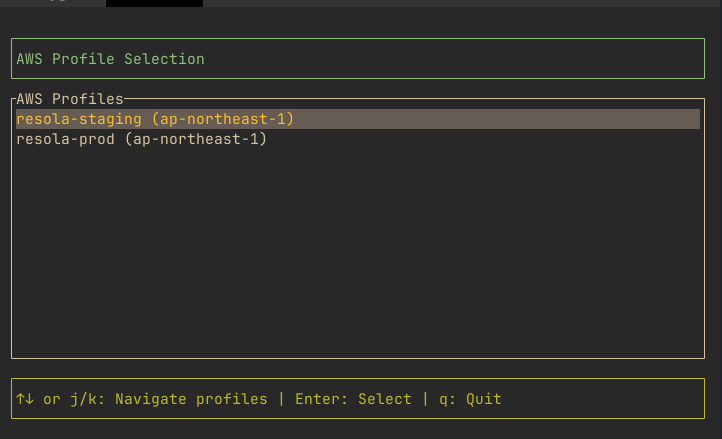 AWS Profile Selection