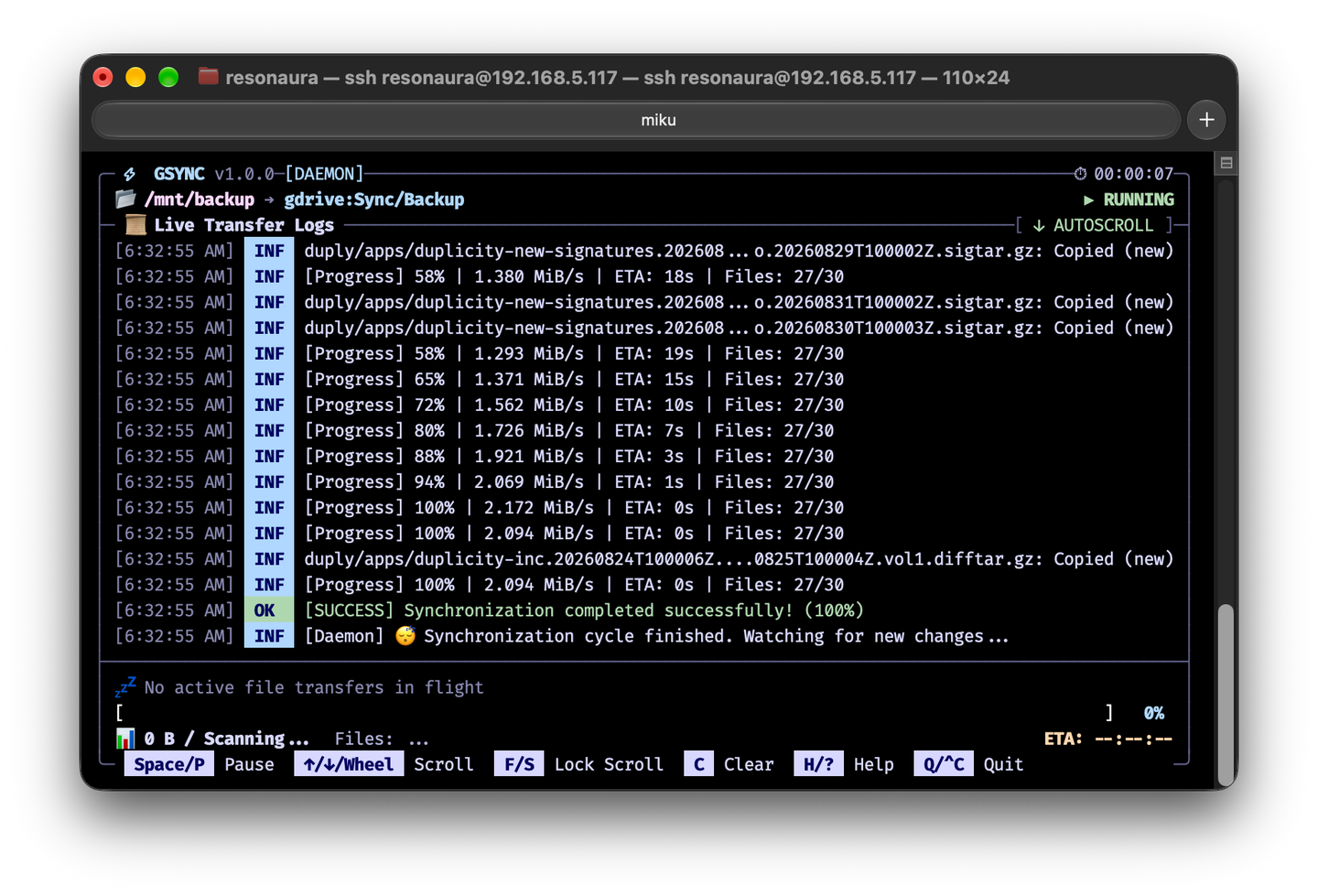 GSync Terminal UI