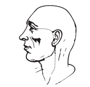Boceto anatómico 2