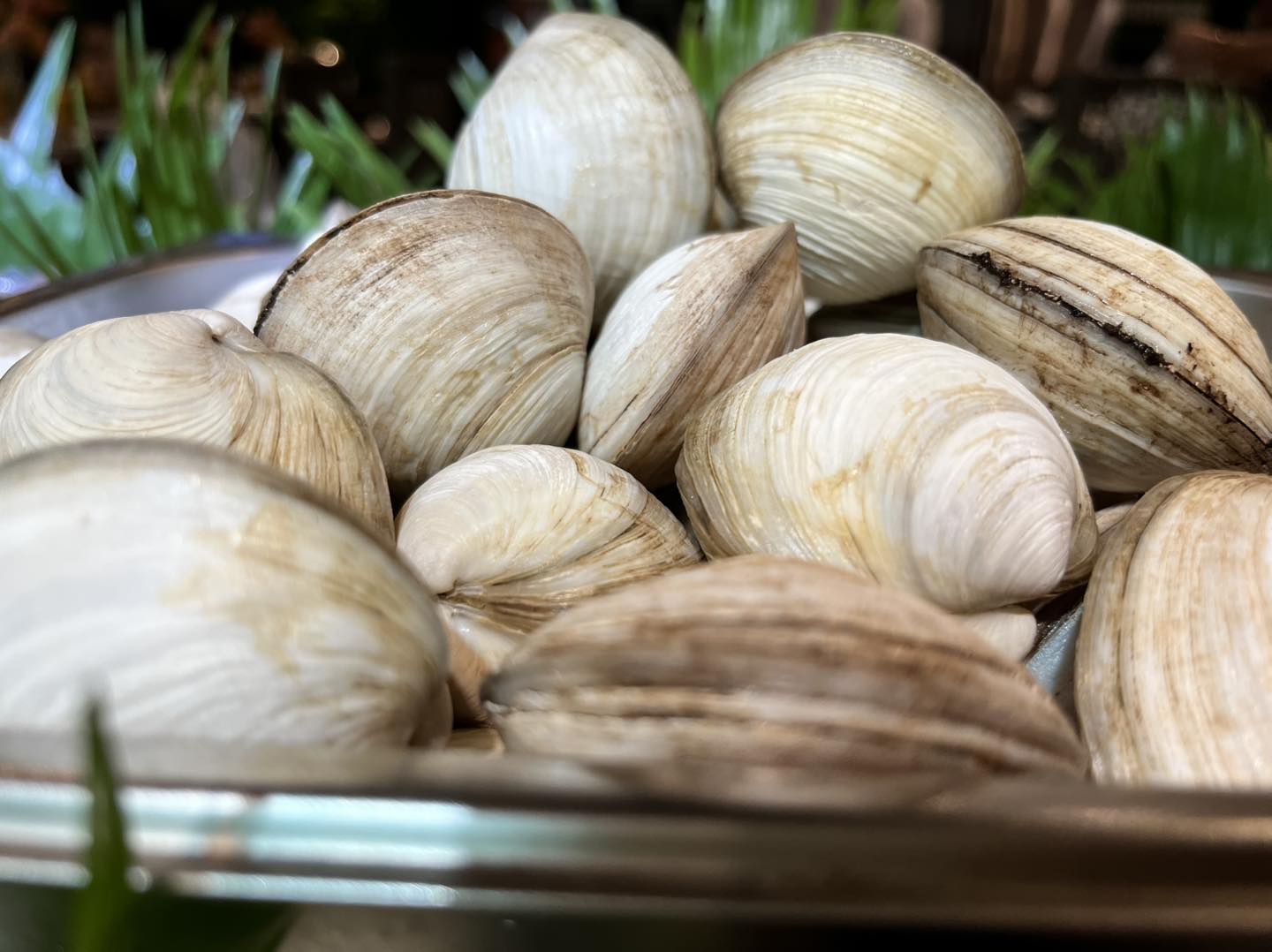 Local Ingredients