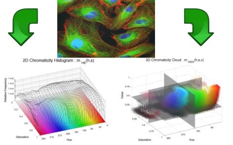 Chromatic Analysis