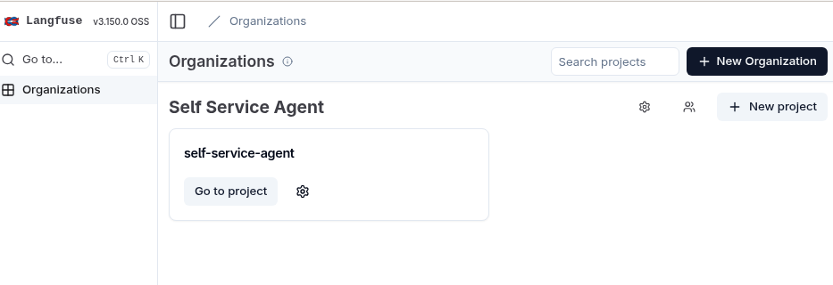 Langfuse organization