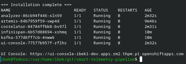 Terminal showing all pods running and the UI Console URL