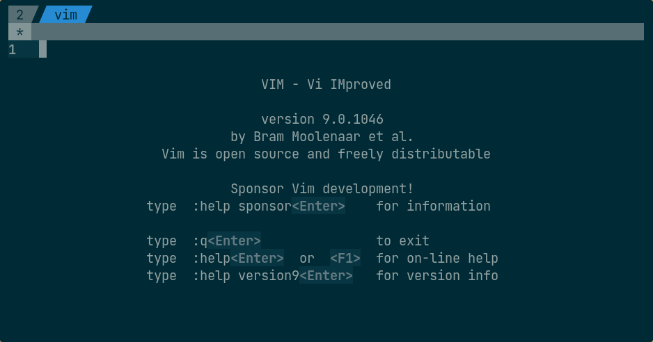 vim-1