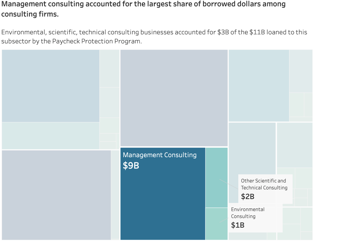 "Management consulting accounted for the largest share of borrowed dollars among consulting firms."