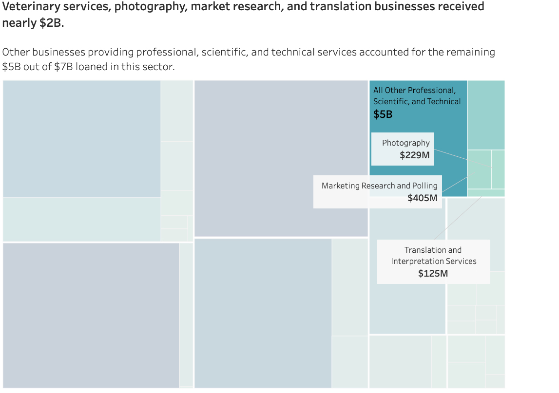 "Veterinary services, photography, market research, and translation businesses received nearly $2B."