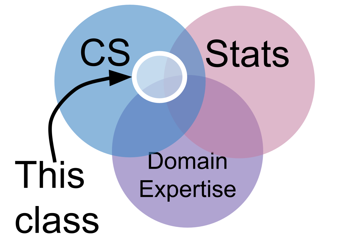 venn diagram of CS, Stats, & domain expertise with DS at the center, w/310 location marked