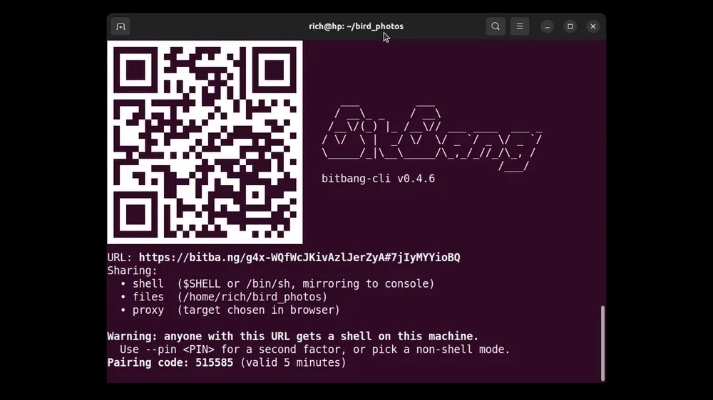 Server prints a 5-minute pairing code; the other party enters it at bitba.ng, their screen shows a 6-digit challenge to read aloud, and typing it back on the serving machine approves the connection