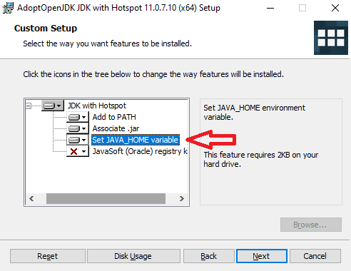 Custom Setup AdoptOpenJDK